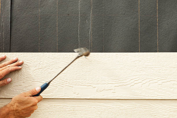 Affordable Siding Repair and Maintenance Services in Flossmoor, IL